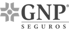 GNP Grey