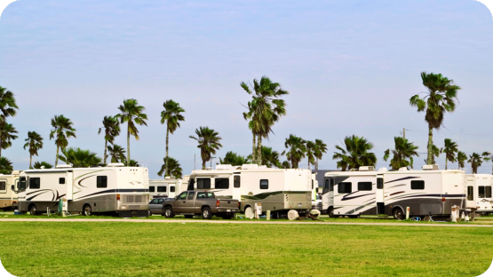 Rv2 (1)