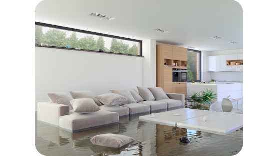 Flood2